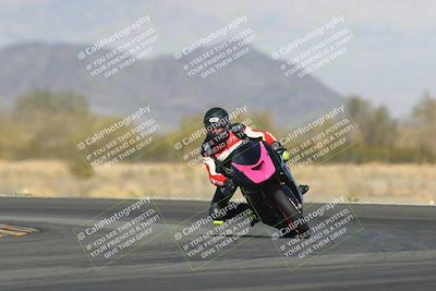 media/Feb-04-2023-SoCal Trackdays (Sat) [[8a776bf2c3]]/Turn 14 (115pm)/